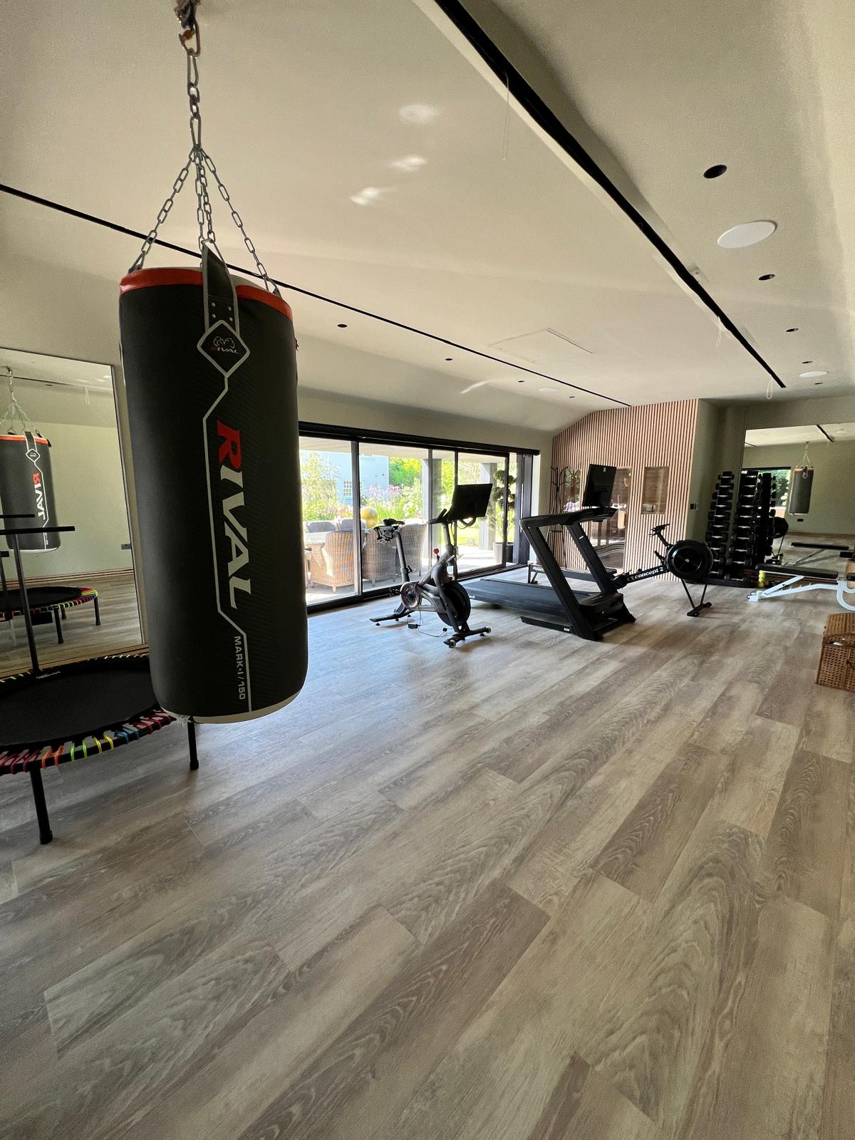 Garden gym interior with punchbag and cardio equipment