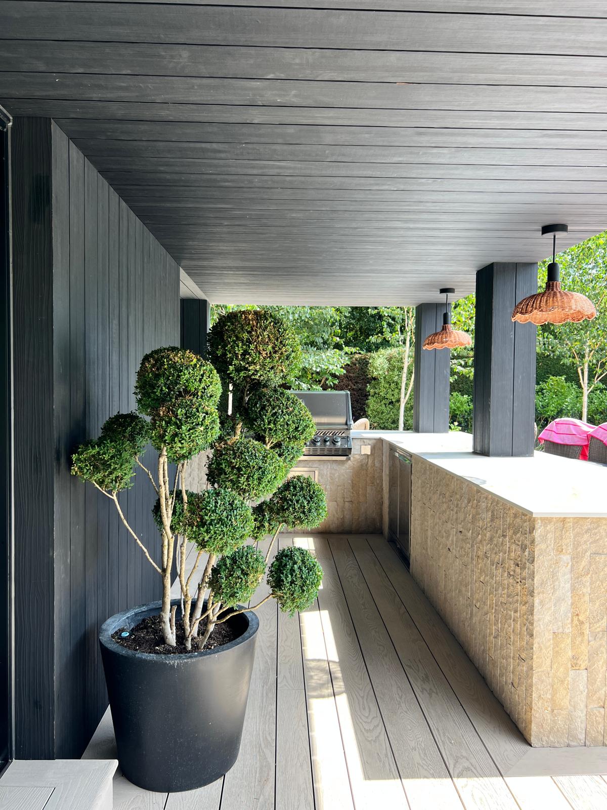 Topiary and planters on the composite deck by the bar